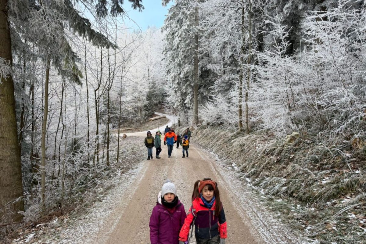 Kinder auf dem Waldweg im Raureif