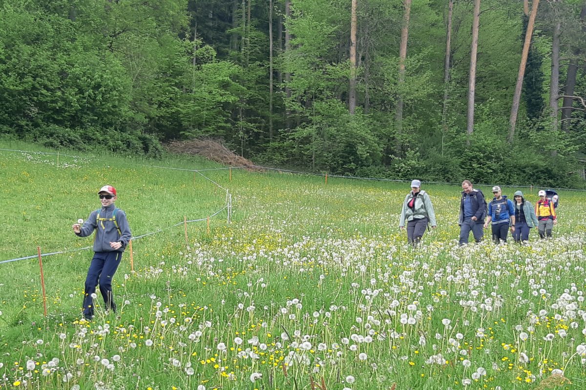 Wanderer auf einer Blumenwiese